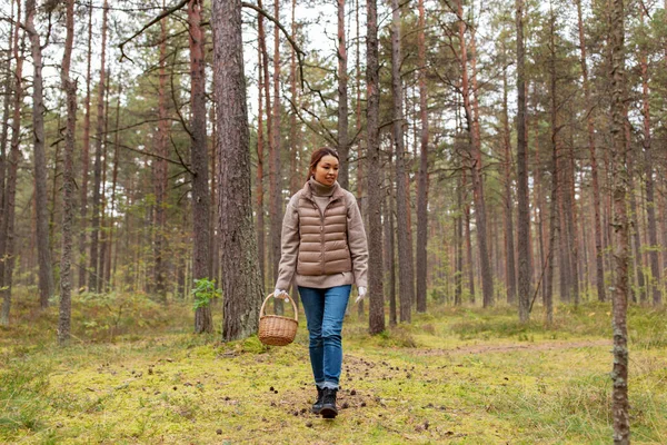 Jovem mulher pegando cogumelos na floresta de outono — Fotografia de Stock