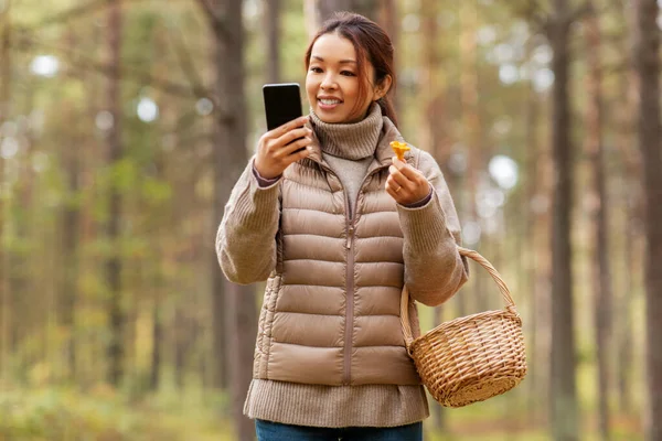 Asijská žena pomocí smartphonu identifikovat houby — Stock fotografie