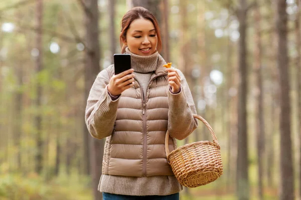 Asijská žena pomocí smartphonu identifikovat houby — Stock fotografie