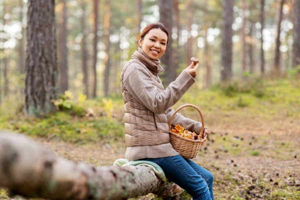Donna con funghi in cesto nella foresta autunnale — Foto Stock