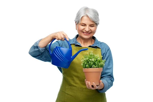 Старший садовник с цветочным горшком и лейкой — стоковое фото
