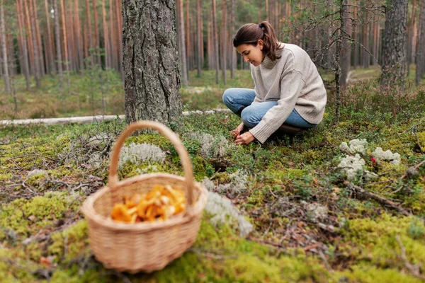 Jovem mulher pegando cogumelos na floresta de outono — Fotografia de Stock