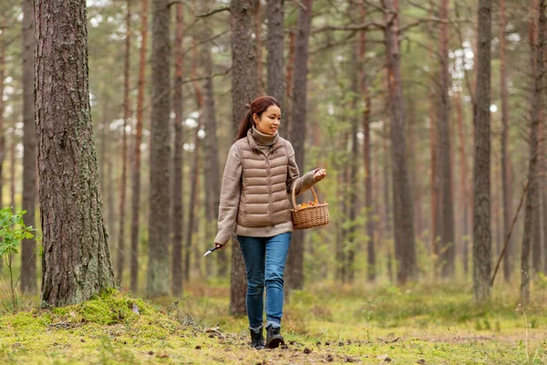 Ung kvinna plocka svamp i höstskogen — Stockfoto