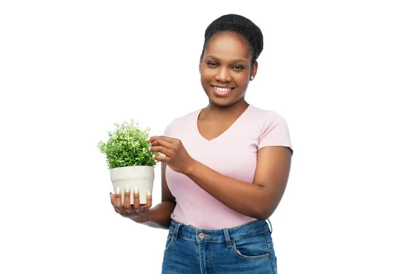 Gelukkig glimlachen afrikaanse vrouw holding bloem in pot — Stockfoto