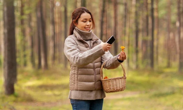 Azji kobieta za pomocą smartfona do identyfikacji grzybów — Zdjęcie stockowe