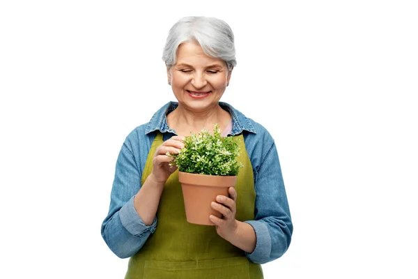 Glimlachen senior vrouw in tuin schort met bloem — Stockfoto