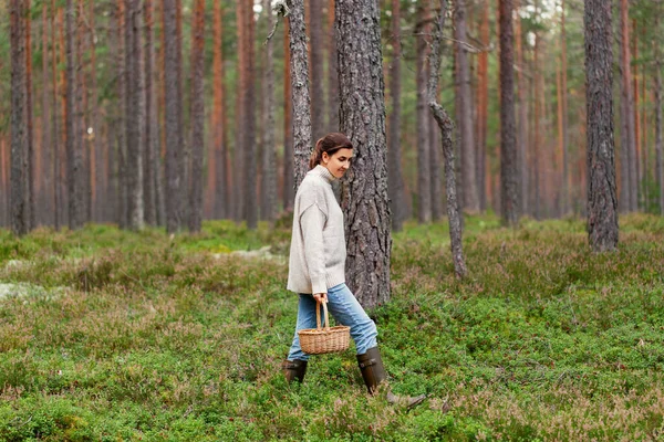 Женщина с корзиной собирает грибы в лесу — стоковое фото