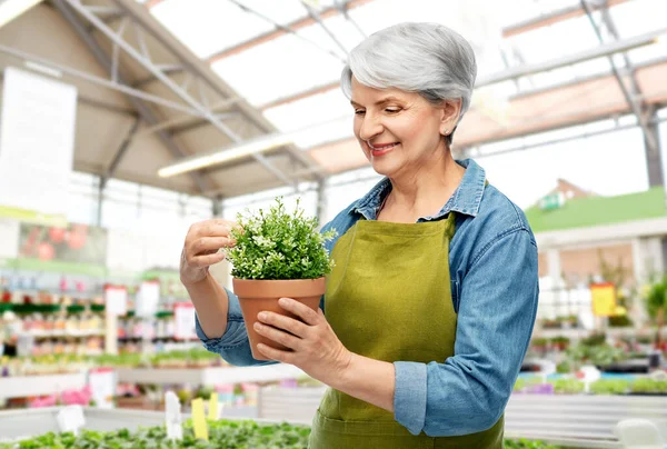 Leende äldre kvinna med blomma i trädgårdsbutiken — Stockfoto