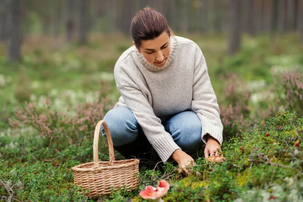 Giovane donna che raccoglie funghi nella foresta autunnale — Foto Stock