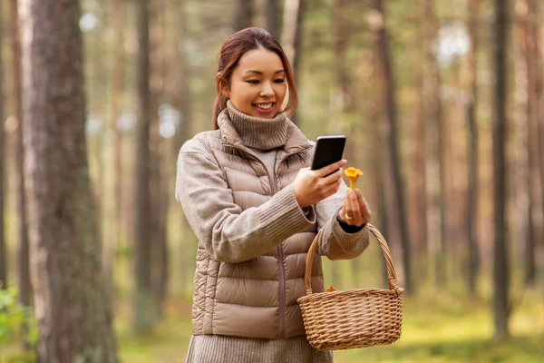 Asiatico donna utilizzando smartphone per identificare fungo — Foto Stock
