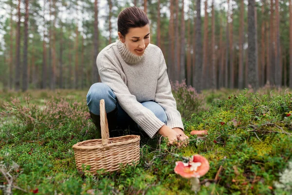 Молода жінка збирає гриби в осінньому лісі — стокове фото