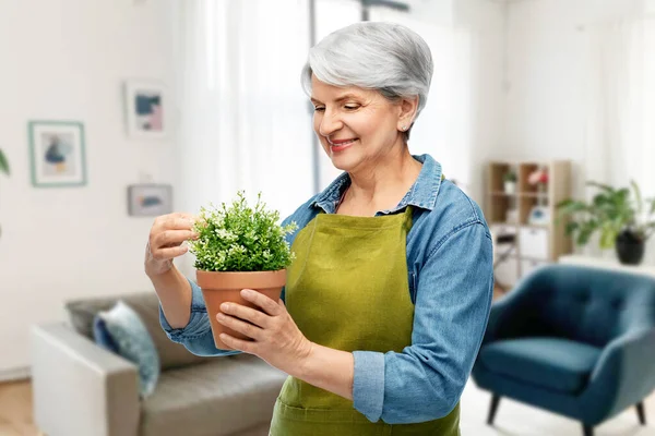 Χαμογελαστή ηλικιωμένη γυναίκα με ποδιά κήπου με λουλούδι — Φωτογραφία Αρχείου