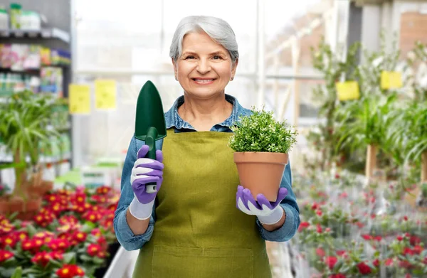 Mulher velha no avental do jardim com flor e espátula — Fotografia de Stock