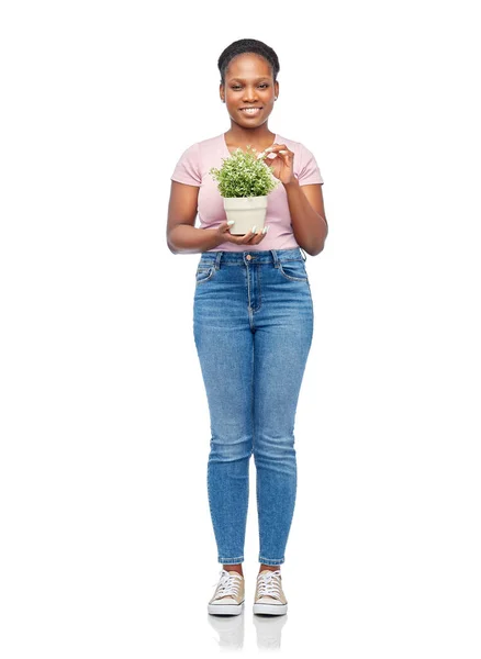 Boldog mosolygós afrikai nő kezében virág pot — Stock Fotó