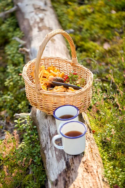 Funghi in cesto e tazze di tè nella foresta — Foto Stock