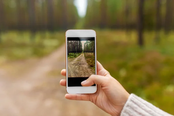 Hand mit Smartphone im Wald fotografieren — Stockfoto