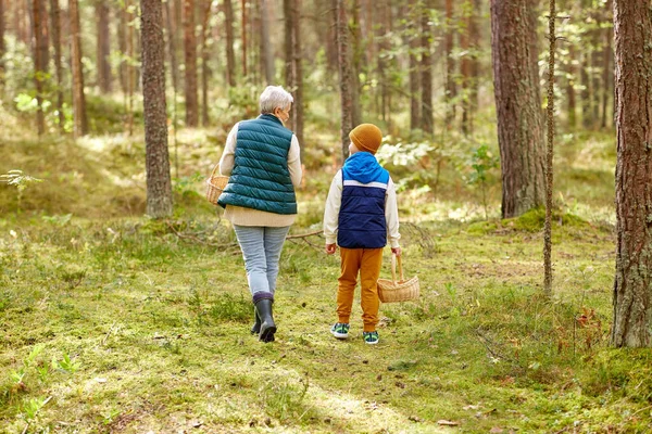 Grootmoeder en kleinzoon met manden in het bos — Stockfoto