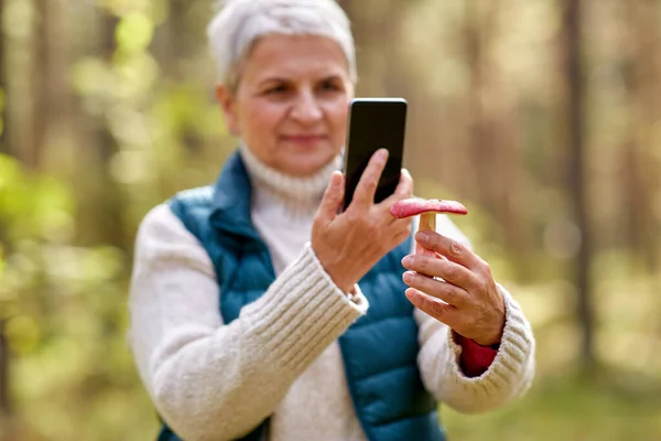 Senior vrouw met smartphone om paddestoel te identificeren — Stockfoto