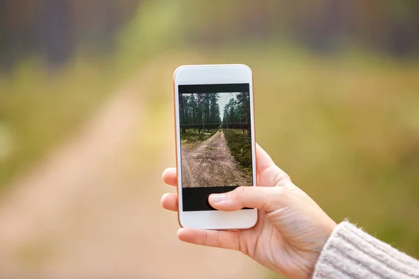 Mão usando smartphone para tirar fotos na floresta — Fotografia de Stock