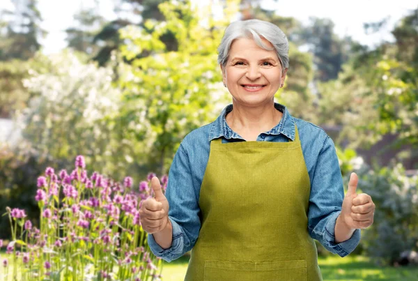 Anziana donna in giardino grembiule mostrando pollici in su — Foto Stock