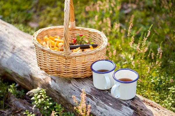 Champiñones en cesta y tazas de té en el bosque — Foto de Stock