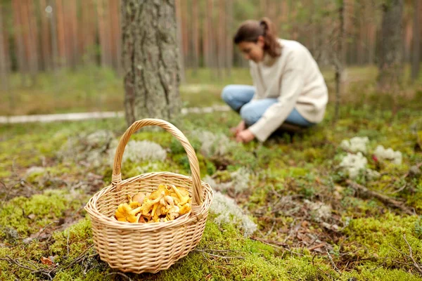 Mujer joven recogiendo setas en el bosque de otoño —  Fotos de Stock