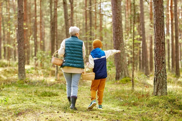 Бабушка и внук с корзинами в лесу — стоковое фото