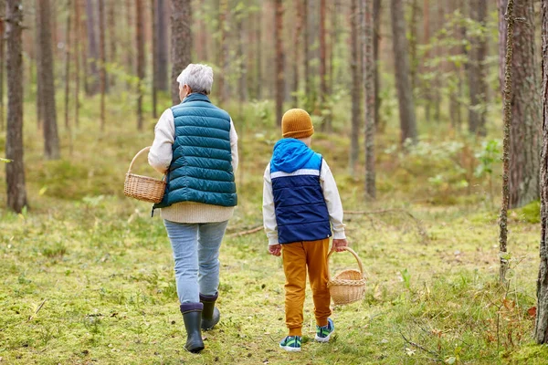 Abuela y nieto con cestas en el bosque — Foto de Stock