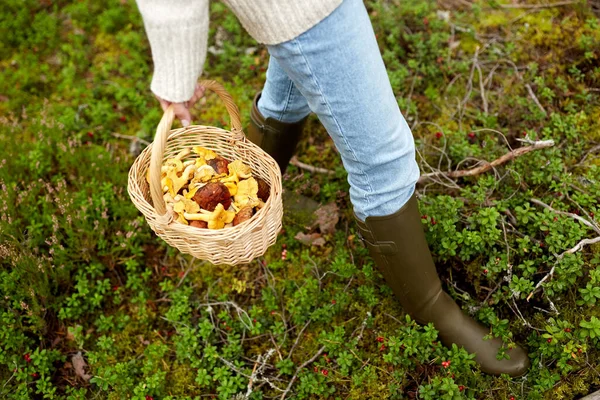 Kvinna med korg plocka svamp i skogen — Stockfoto