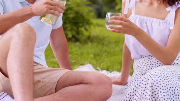 Ευτυχισμένο ζευγάρι με κρασί που κάνουν πικ-νικ στο πάρκο — Αρχείο Βίντεο