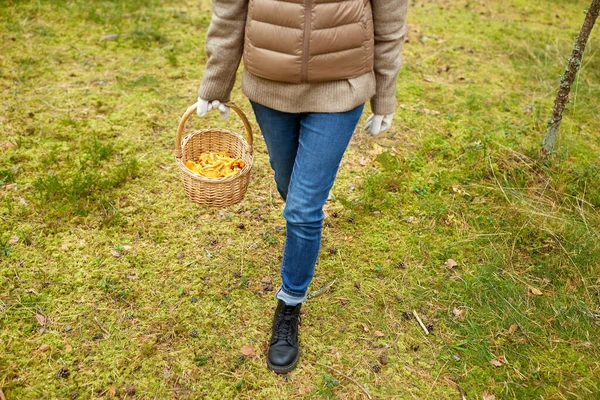 年轻女子在秋天的森林里采摘蘑菇 — 图库照片