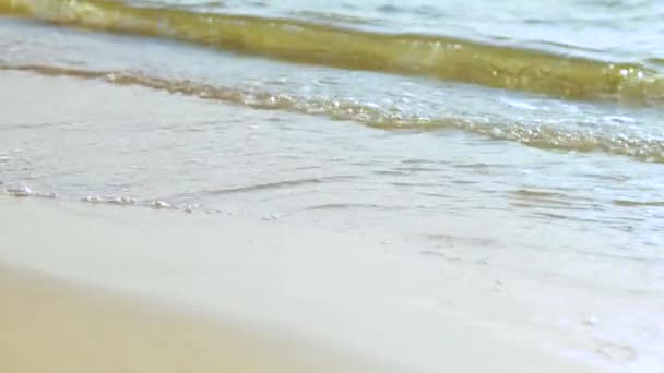 砂浜の波が — ストック動画