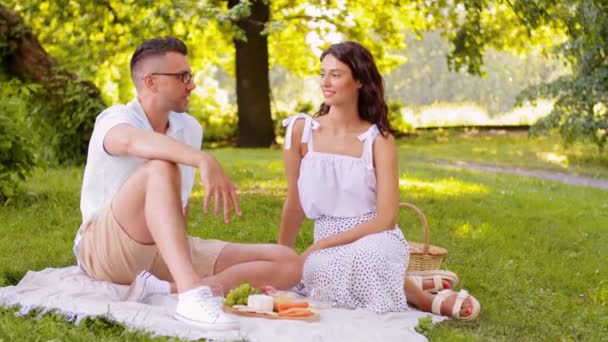 夏の公園でピクニックをしている幸せなカップルは — ストック動画