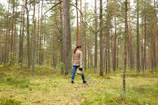 Ung kvinna plocka svamp i höstskogen — Stockfoto