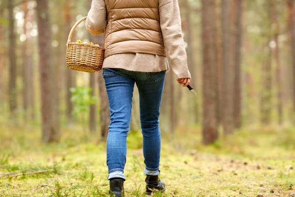 Молодая женщина собирает грибы в осеннем лесу — стоковое фото