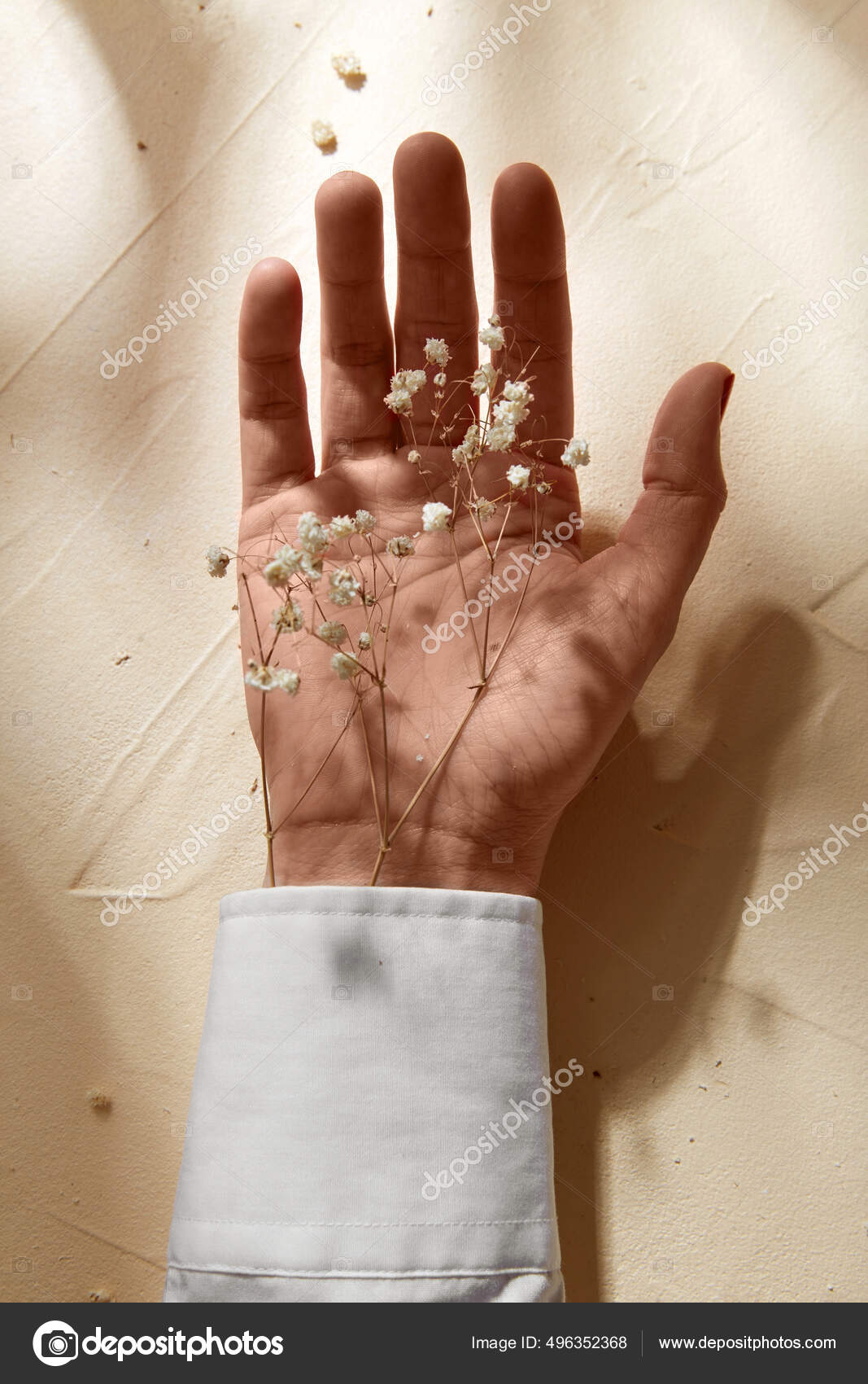 Dried Babys Breath Stock Photo - Download Image Now - Baby - Human