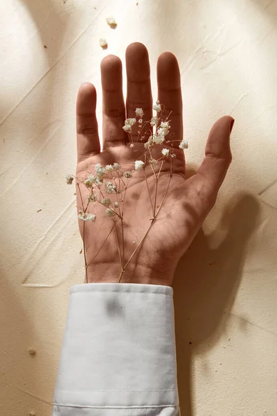 Hand med torkade babys andedräkt blommor i manschetten — Stockfoto