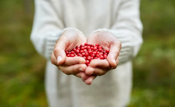 Nahaufnahme einer jungen Frau, die Beeren in Händen hält — Stockfoto