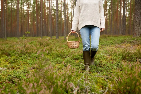 Mujer con cesta recogiendo setas en el bosque — Foto de Stock