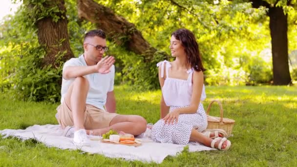 Lyckligt par som har picknick på sommarparken — Stockvideo