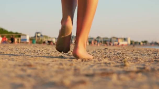 Pés descalços de mulher jovem andando ao longo da praia — Vídeo de Stock