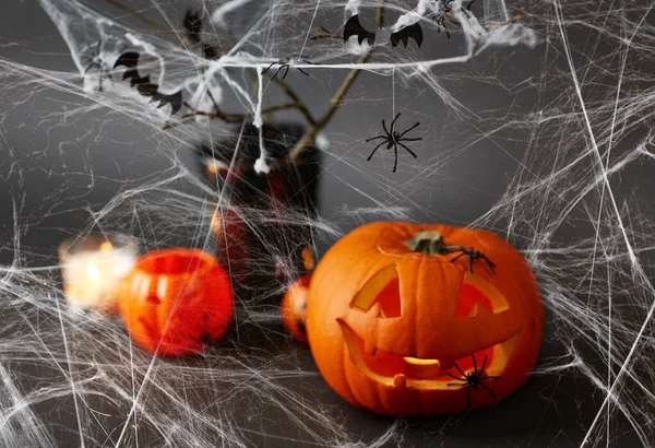 Dynie, pajęczyny i dekoracje halloween — Zdjęcie stockowe