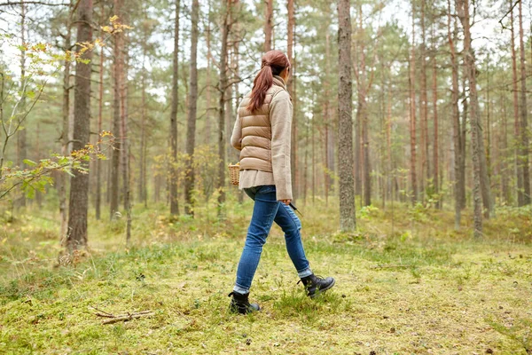 Giovane donna che raccoglie funghi nella foresta autunnale — Foto Stock