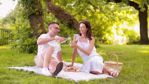 Gelukkig paar met wijn picknick in park — Stockvideo