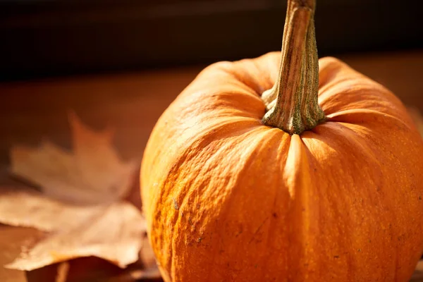 Close up van pompoen en herfstbladeren — Stockfoto