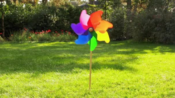 Colorful pinwheel rotating outdoors in summer — Stock Video