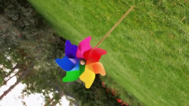 Kleurrijke pinwheel roteren buiten in de zomer — Stockvideo