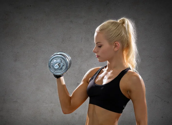 Sporty woman with heavy steel dumbbells — Stock Photo, Image