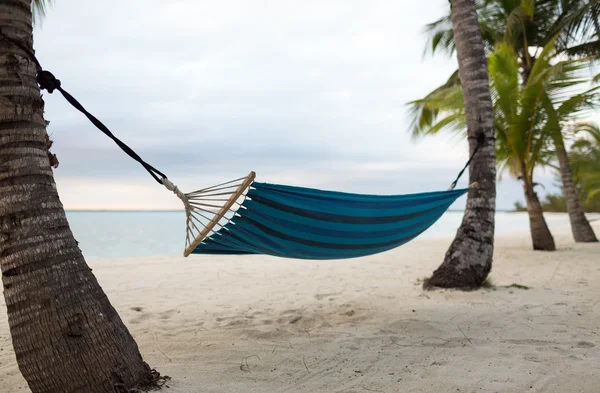 Hammock pe plaja tropicală — Fotografie, imagine de stoc