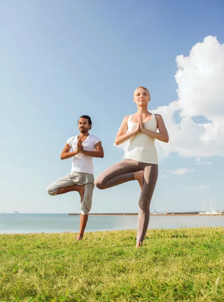 Çift gülümseyen açık havada yapım yoga egzersizleri — Stok fotoğraf